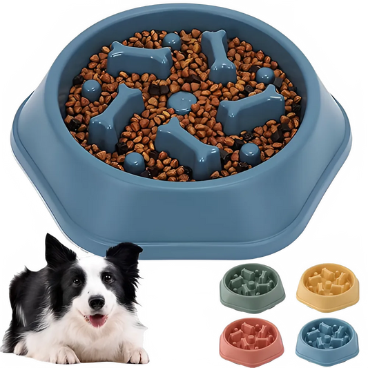 59149814-8808-4a70-bc81-30bbf4cef212