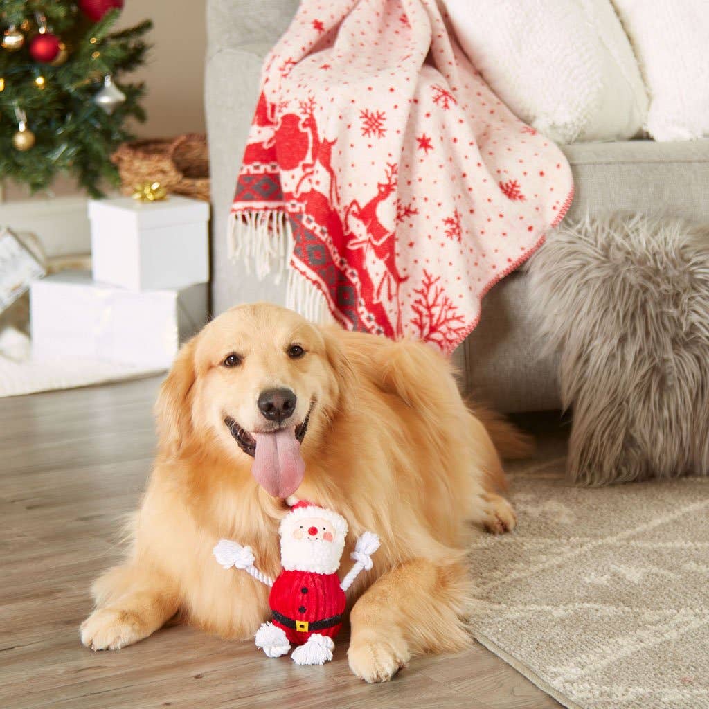 The Real Santa Claus Christmas Dog Toy, Pet Holiday Gift