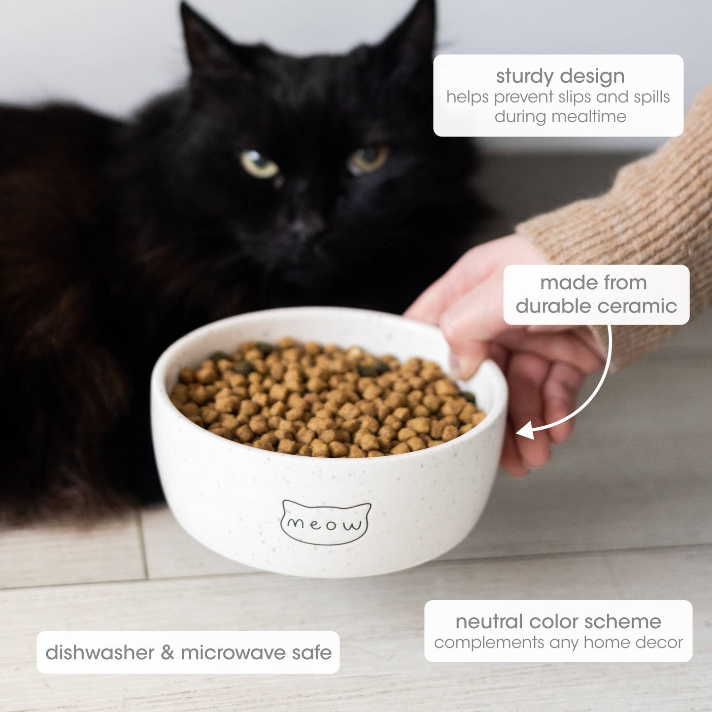 Cat eating from a white ceramic bowl with text highlighting features, next to a person's hand.