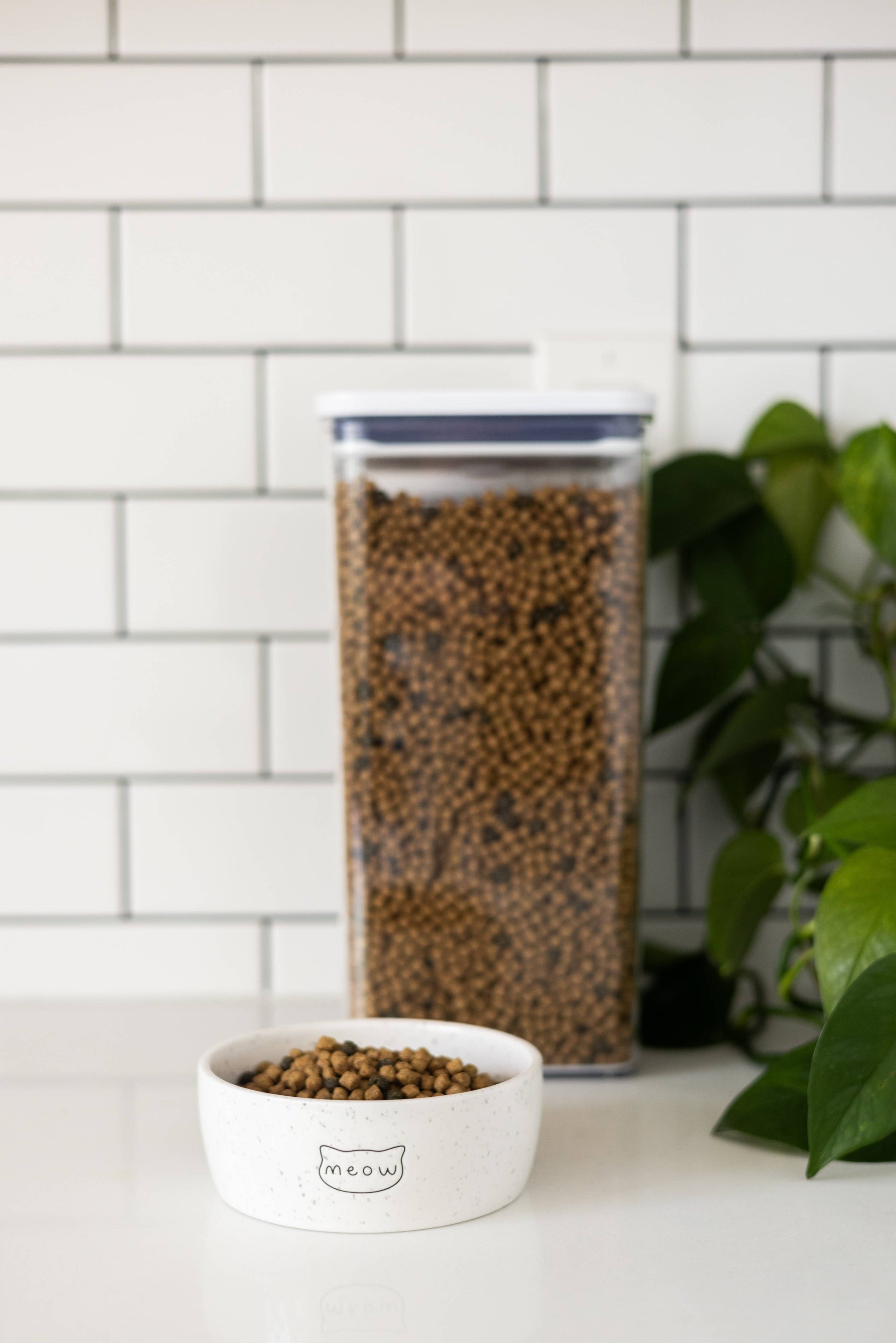 Container of pet food on a kitchen counter with a white tiled wall and plant in the background