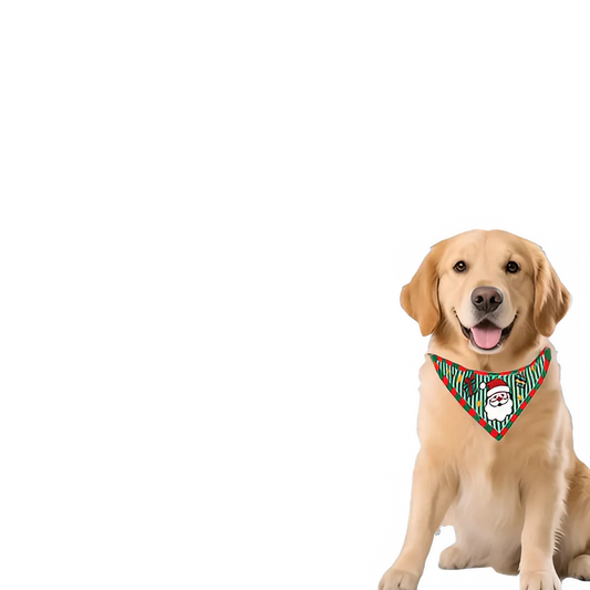 9e97fcc6-28be-487b-be6e-1bcde4b3382f