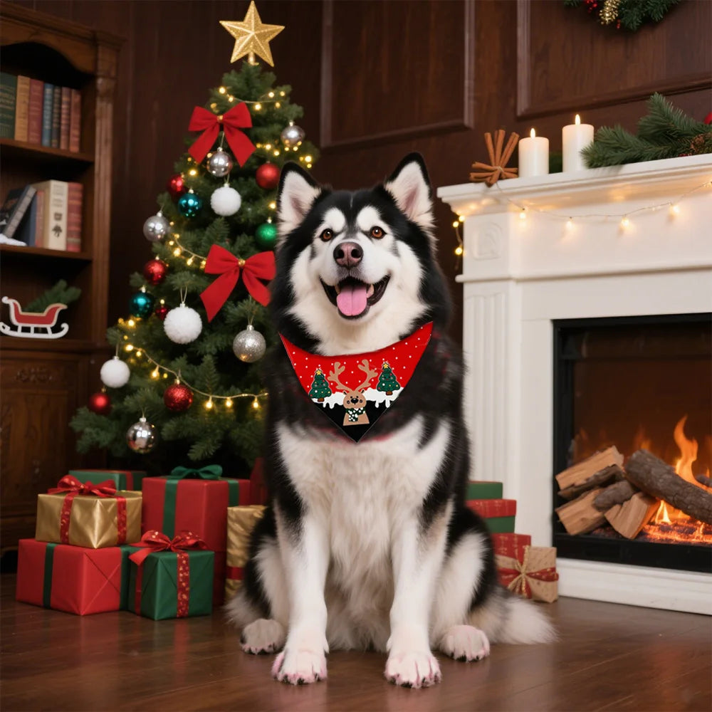 S0a46b4d3b29e43a98f65f15868b9dba5m