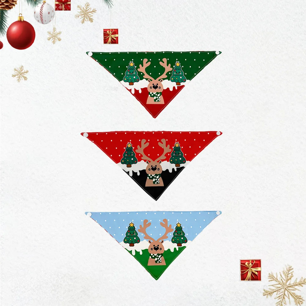 Sba6df25c81db4fabbd3d6648de3cbadal