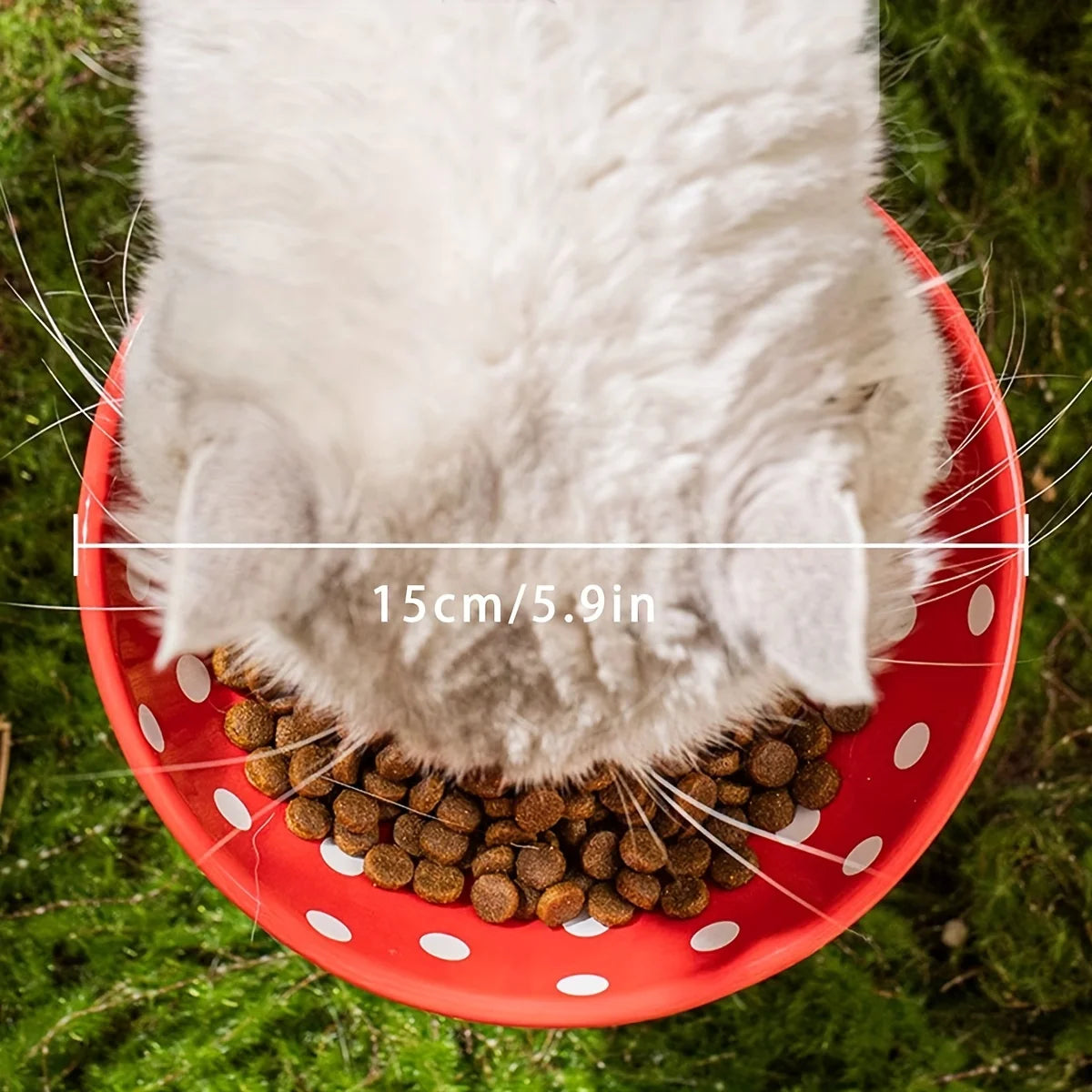 Sf3a9127fd3a94c32903d65b0cae245d4j