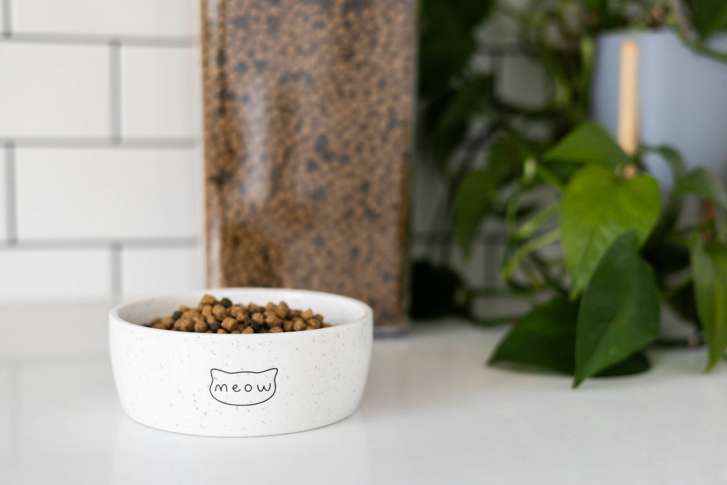 White bowl with cat food labeled 'meow' on a white surface with plants in the background