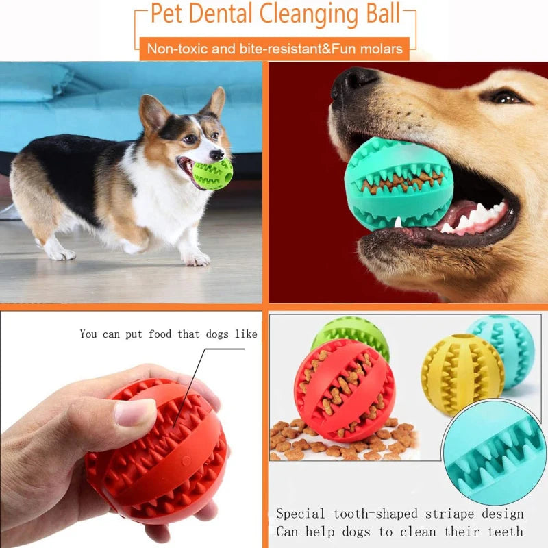 Pet dental cleaning ball bite resistant and fun molars