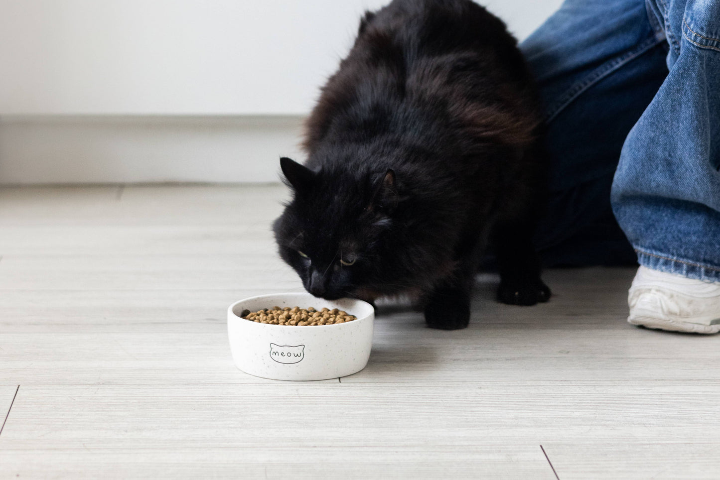 Black cat eating from a white bowl with a brand logo on a light wooden floor.